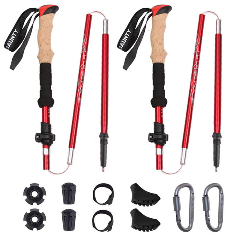 Ten Reasons to Use Trekking Poles